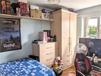 Picture 11